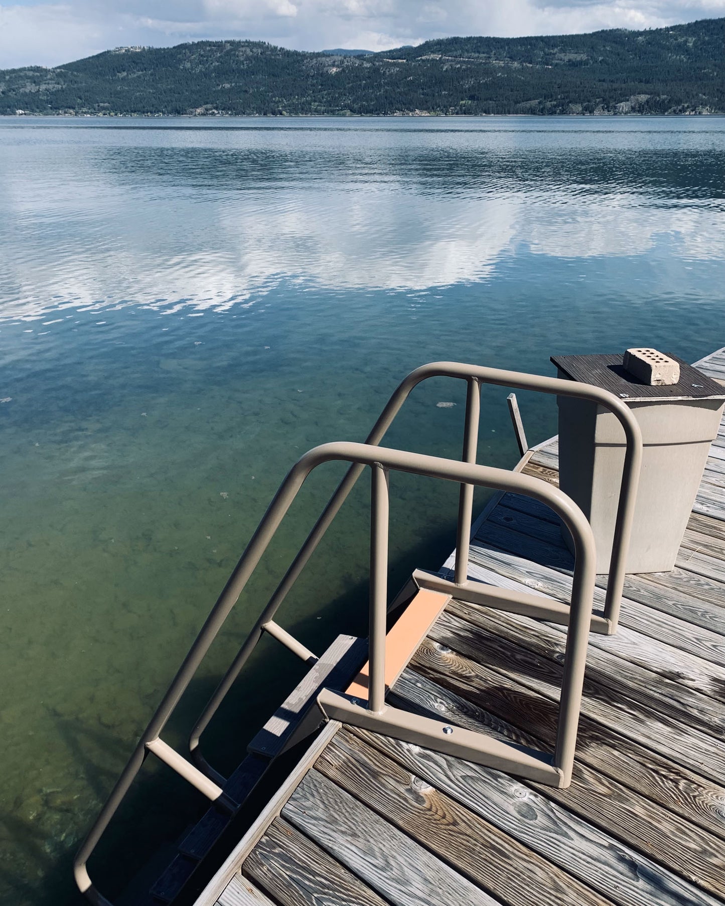 Dock Ladder
