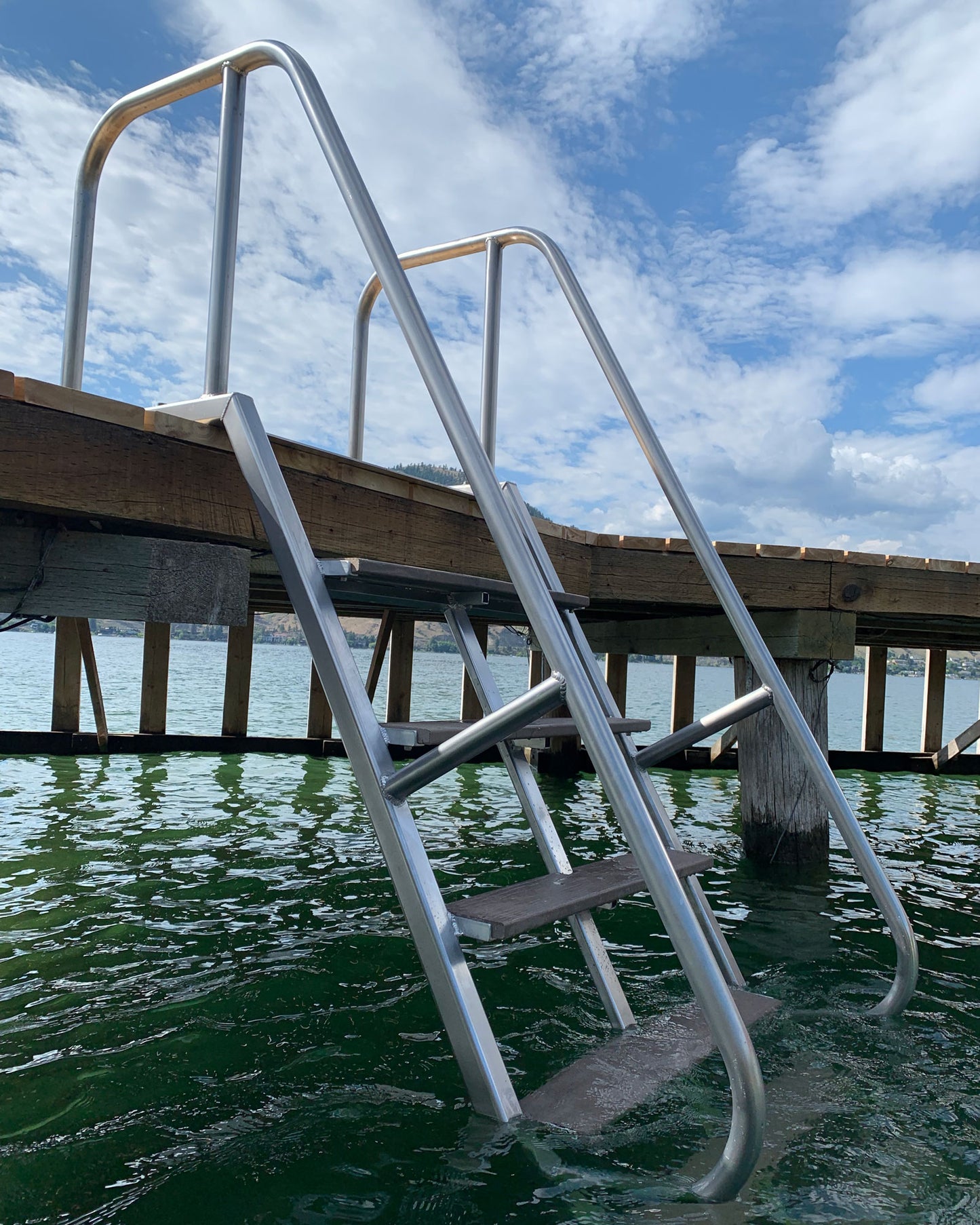 Dock Ladder